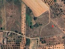 Campo en Vall d'Alba