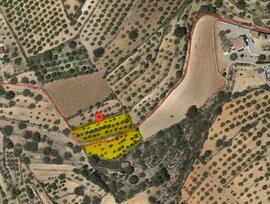 Campo en Vall d'Alba