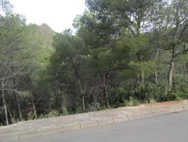 Parcela en Benicassim