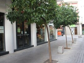 Unidad comercial en Córdoba