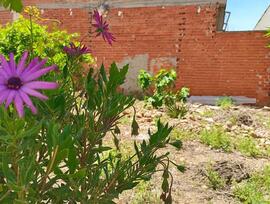 Parcela urbana edificable en Alquerias