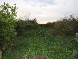 Parcela urbana en Los Ramos