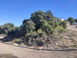 Parcela en Fuentenovilla