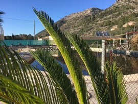 Parcela urbana en Barx