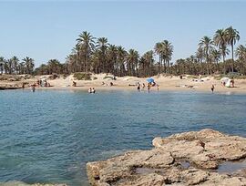 Parcela urbana en Pilar de la Horadada