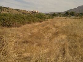 Parcela en Barbastro