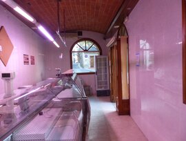 Negocio en Les Borges del Camp