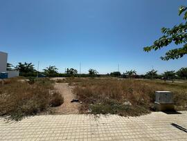 Parcela en Alfara del Patriarca