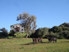 Casa de campo en Alaior