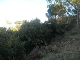 Parcela en Fuengirola