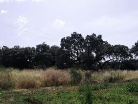 Campo en Córdoba