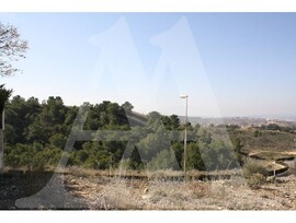 Parcela urbana edificable en Molina de Segura