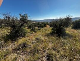 Campo en Carabaña