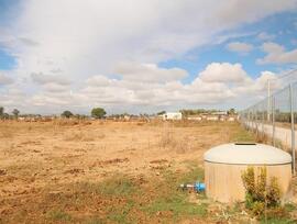 Campo en Jerez de la Frontera