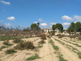 Casa de campo en Fuente alamo de Murcia