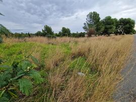 Parcela en Miami Platja