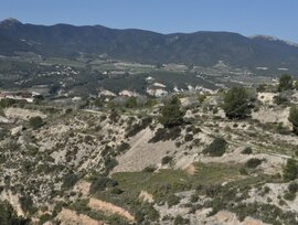 Terreno industrial en Tibi