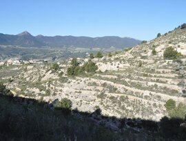 Terreno industrial en Tibi