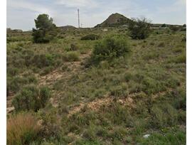 Campo en Alicante