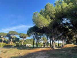 Parcela urbana en Boecillo