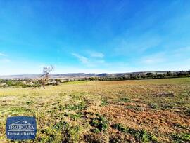 Campo en Arcos de la Frontera