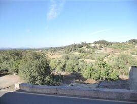 Parcela urbana edificable en Costitx