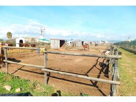 Campo en Palma de Mallorca