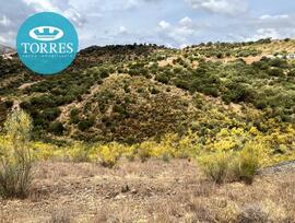 Parcela urbana en Almogia