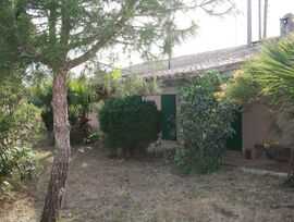 Campo en Ses Salines