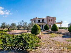 Villa en Ses Salines