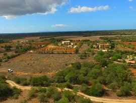 Campo en Ses Salines