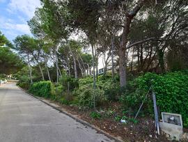 Parcela urbana en Denia