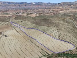 Campo en Otura