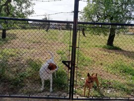 Parcela urbana edificable en Consell