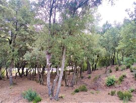 Parcela urbana en Matadepera