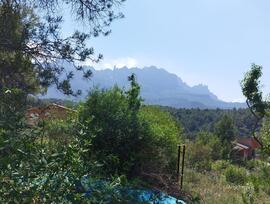 Parcela en Castellbell i el Vilar