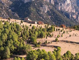 Campo en Vistabella del Maestrazgo