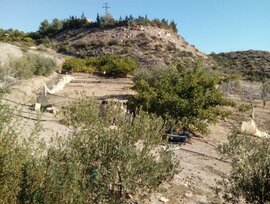 Casa de campo en Águilas