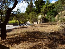 Parcela urbana en Vallbona de les Monges