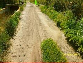 Campo en Torreaguera