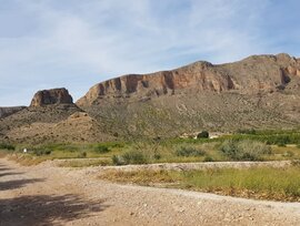 Campo en Santomera