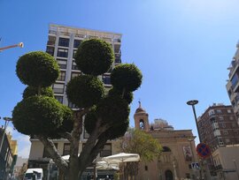 Unidad comercial en Almeria