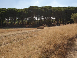 Villa en Chiclana de la Frontera