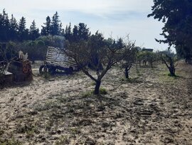 Parcela en Chiclana de la Frontera
