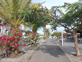 Unidad comercial en San Bartolome