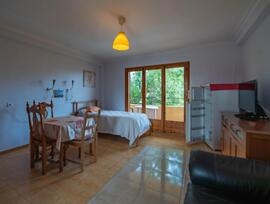 Estudio en Torrevieja