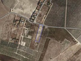 Campo en Sanlucar de Barrameda