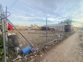 Campo en Sanlucar de Barrameda