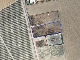 Campo en Sanlucar de Barrameda