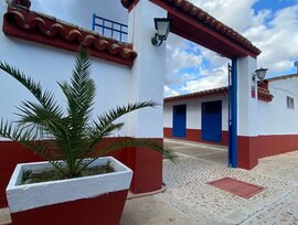 Campo en La Puebla del Rio